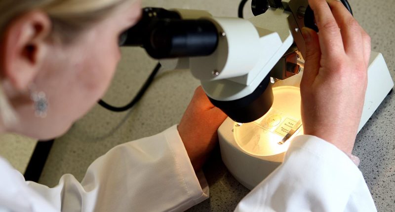 Cancer breakthrough could be new way of identifying deadly disease