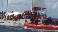 US Coast Guard intercepts Chinese migrant on a paddleboard off the Bahamas