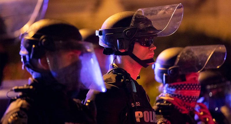 DOGE scrutiny could 'take handcuffs off' police officers to do their jobs: expert