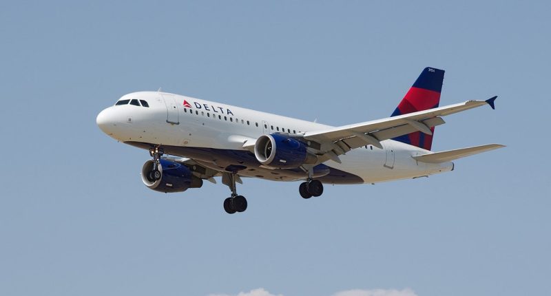 Delta flight from New York to Florida diverted to North Carolina due to 'odor in the cabin'