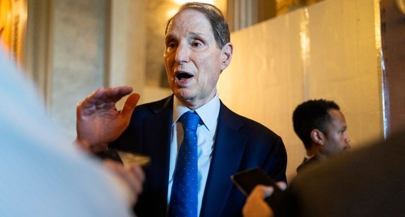 Democratic senator: 'DOGE is now at the IRS'