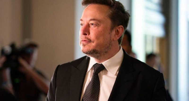 Democrats fight DOGE with lawsuits since losing the election