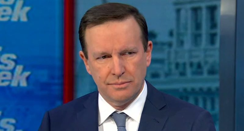 Democrat's meltdown about Elon Musk's DOGE takeover goes viral