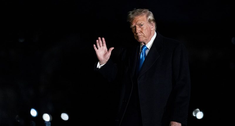 Donald Trump hints UK might escape US trade tariffs