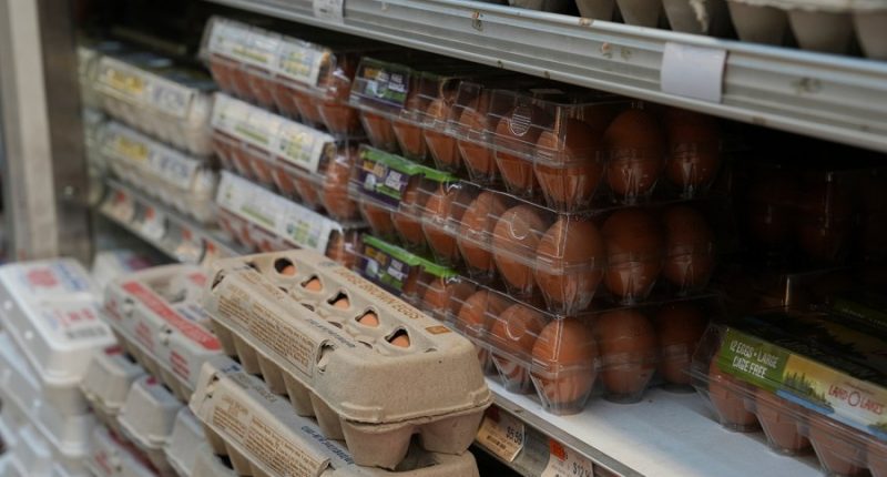 Egg prices expected to rise more than 40 percent in 2025: USDA