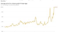 Egg prices hit record high of $4.95, will likely keep climbing