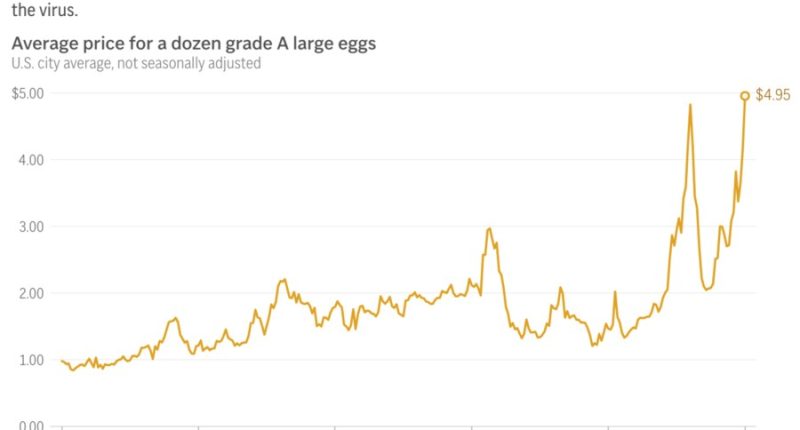 Egg prices hit record high of $4.95, will likely keep climbing