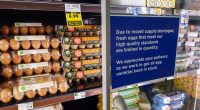 Egg shortage leads to odd pricing disparity with cage-free costing less than regular