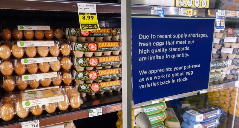 Egg shortage leads to odd pricing disparity with cage-free costing less than regular