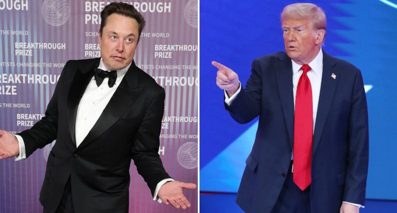 Elon Musk Is Being Sued By The Mother Of His 13th Child