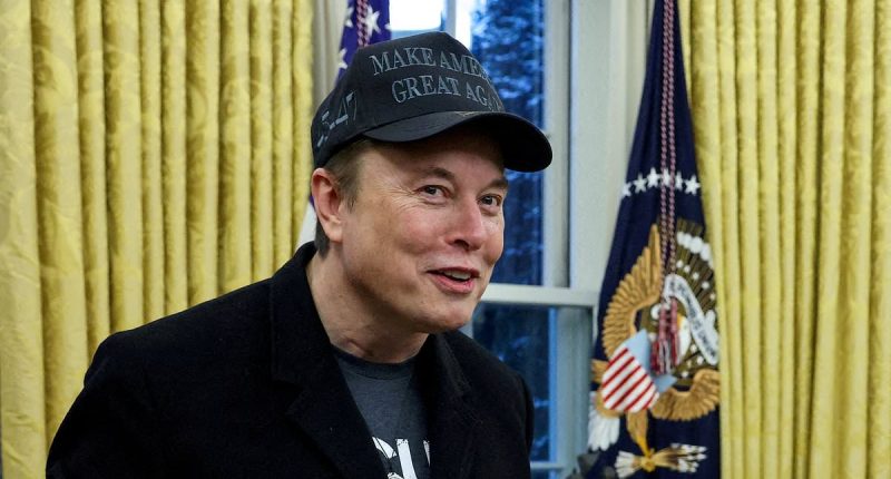 Elon Musk defends Pam Bondi over Epstein files scandal