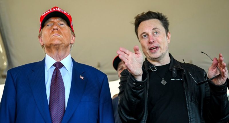 President-elect Donald Trump and Elon Musk.