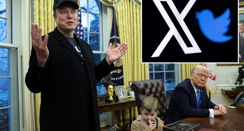 Elon Musk's X to pay $10M to settle Trump lawsuit over Jan. 6 suspension: report