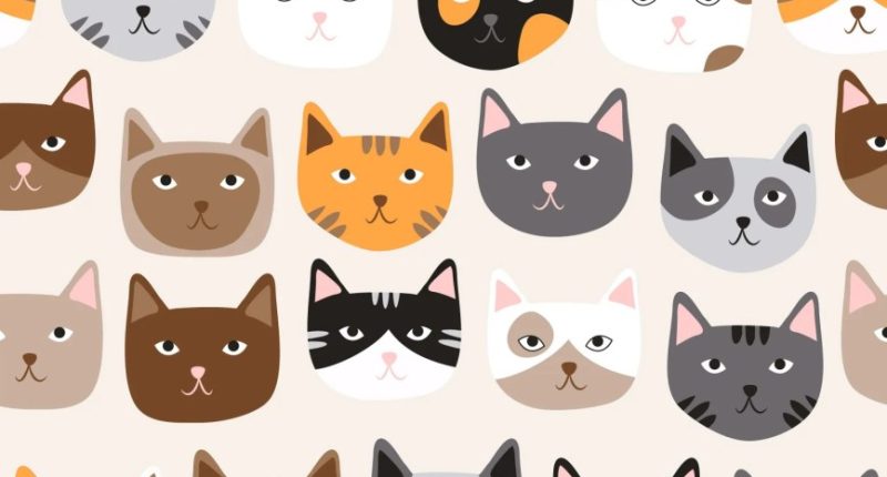 Illustration of many cats; find the cat with a heart-shaped nose.