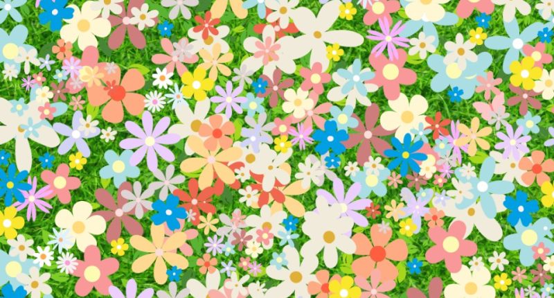 Illustration of a field of colorful flowers.