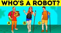 Illustration of a visual puzzle: identify the robot among three hikers.
