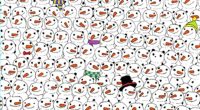 Optical illusion: Spot the panda among snowmen.