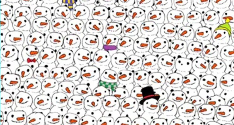 Optical illusion: Spot the panda among snowmen.