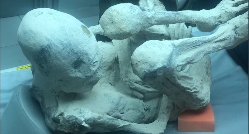 Experts studying 'alien mummies' claim bodies are '100% real'