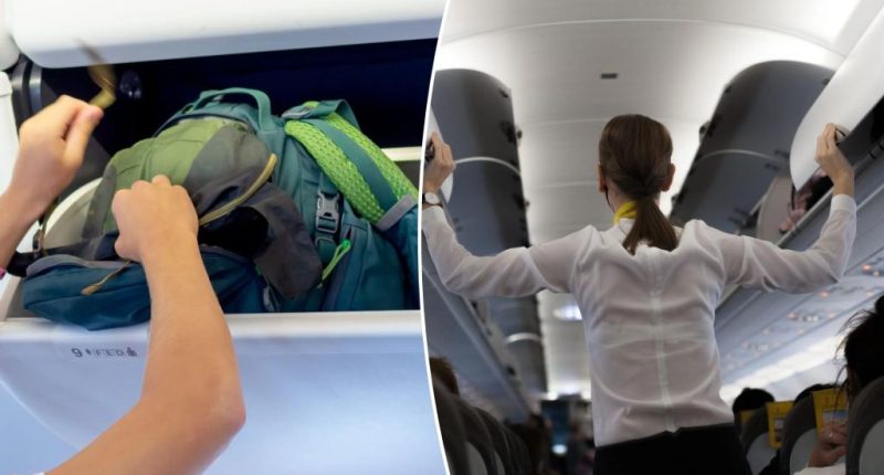 Flight attendant says flyers shouldn't grab bags in evacuation