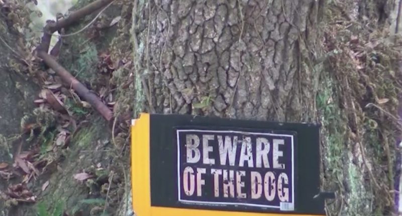 Florida DoorDash driver mauled by 2 dogs, airlifted to Tampa