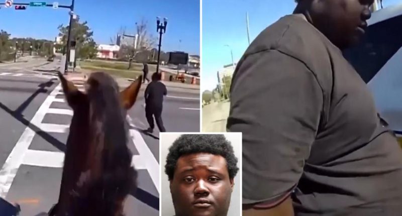 Florida drug suspect Jordan Wilson leads horse-riding sheriffs on extended foot chase: video