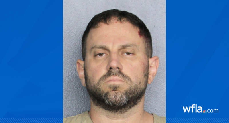 Florida father kidnapped daughter after killing wife, her father and another man: deputies