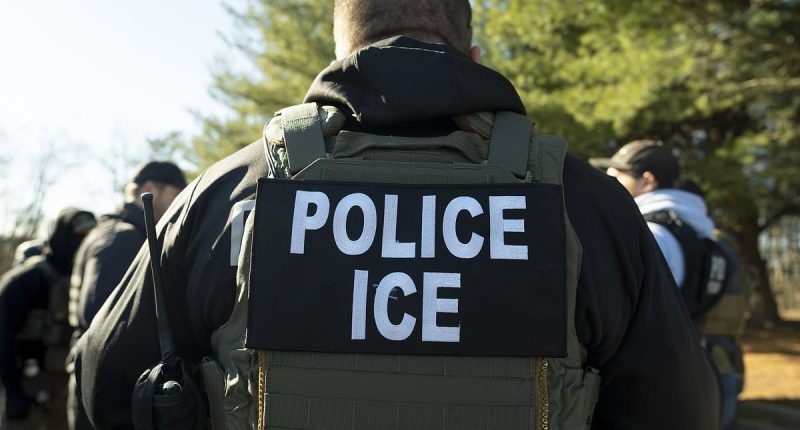 Florida science teacher arrested by ICE as deportations continue