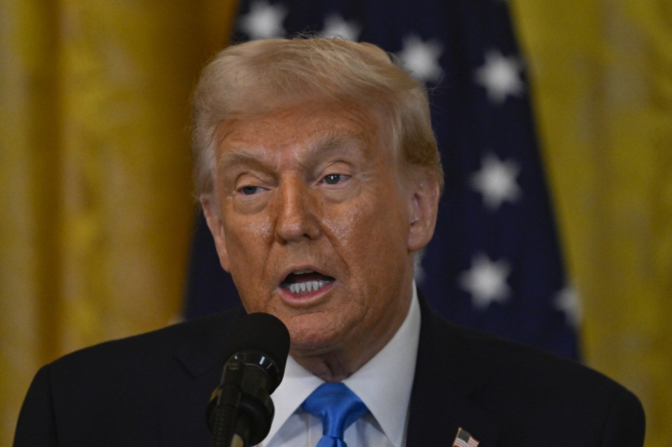 President Donald Trump speaking at a press conference.