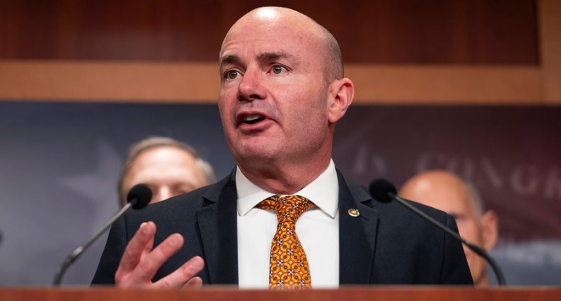 GOP Sen. Mike Lee suggests letting ‘pirates’ take on cartels on the border