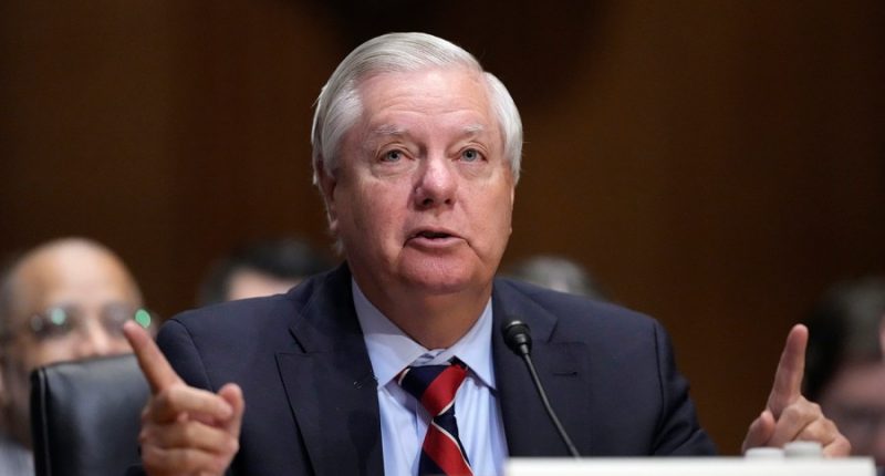 Graham says RFK Jr. 'will implement a pro-life agenda' as health secretary