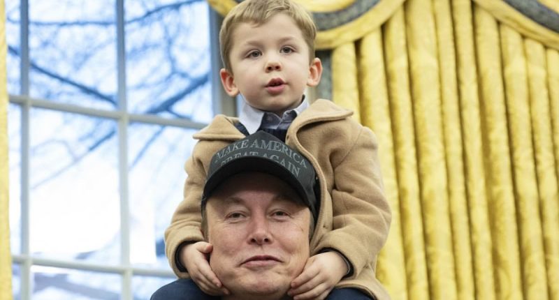 Grimes slams ex Elon Musk for parading son through Oval Office