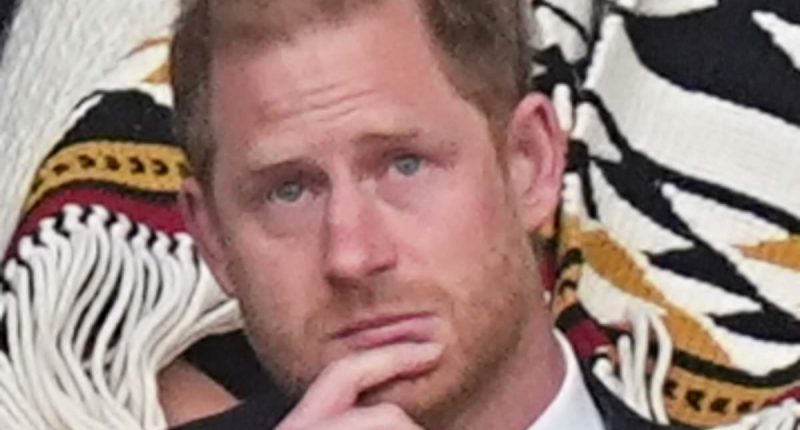 Harry's swipe at Trump is a 'distraction', says Invictus insider