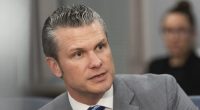 Hegseth: ‘We welcome DOGE at DOD’ 
