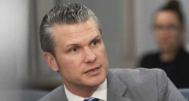 Hegseth: ‘We welcome DOGE at DOD’ 