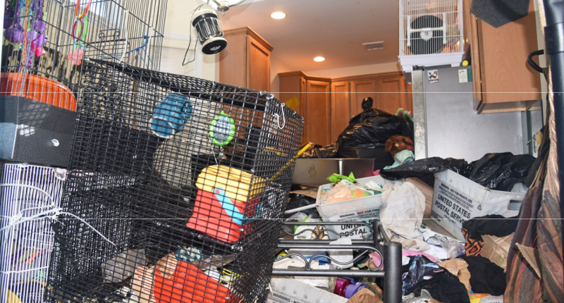 Hoarder arrested for extreme animal cruelty, as authorities discover 10 dead pets, rescue many more: police