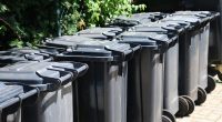 Two rows of black garbage cans.
