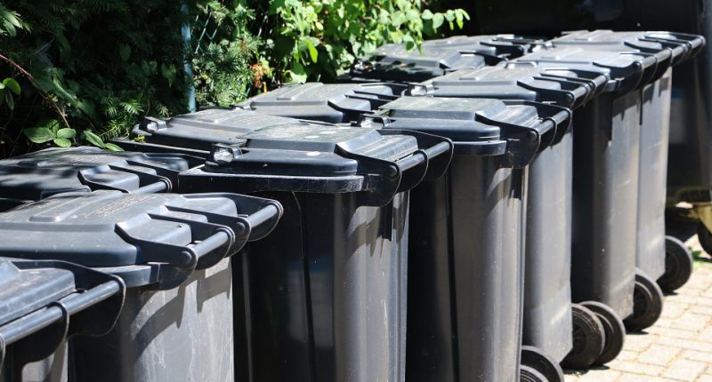 Two rows of black garbage cans.