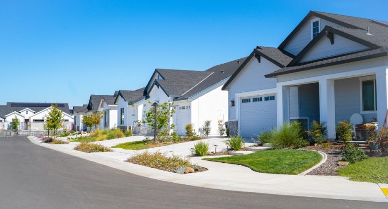 Row of single-story suburban homes.