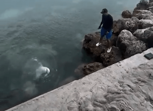 Man fishing from rocks.