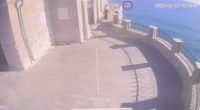 Security camera footage of a cat falling into the sea.