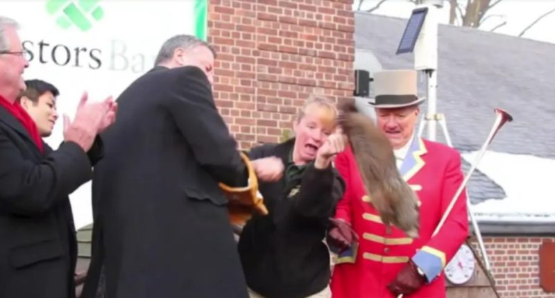 Groundhog Day incident; a woman appears to be rescuing a groundhog from a man in a red coat.