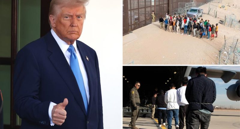 How Trump's illegal immigrant registry will make it easier for ICE to round up millions more migrants