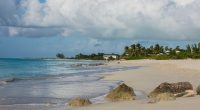 Tropical beach scene with palm trees and a building in the distance.