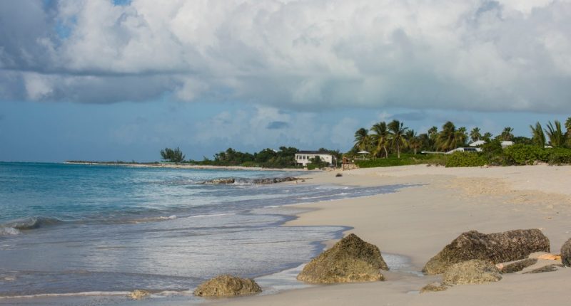 Tropical beach scene with palm trees and a building in the distance.