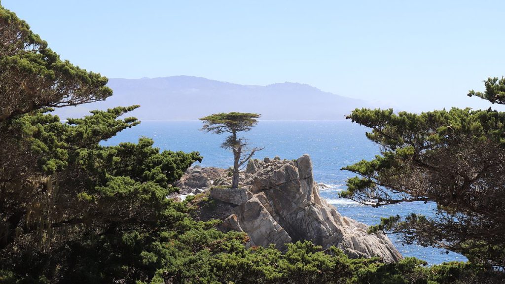 I traveled California using a cheap hack hardly anyone knows about