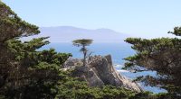 I traveled California using a cheap hack hardly anyone knows about