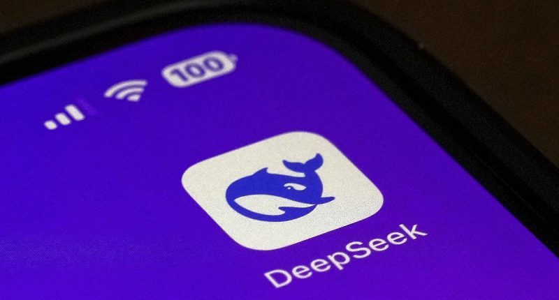 I used DeepSeek for a day... here are the shocking things I learned