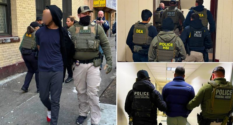ICE crackdown sees 7,400 illegal migrants arrested in 9 days