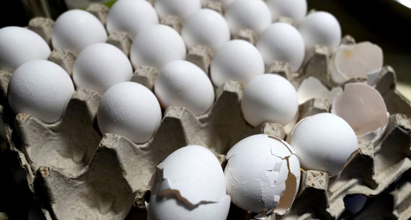 Iconic LA deli raises prices to cope with soaring cost of eggs